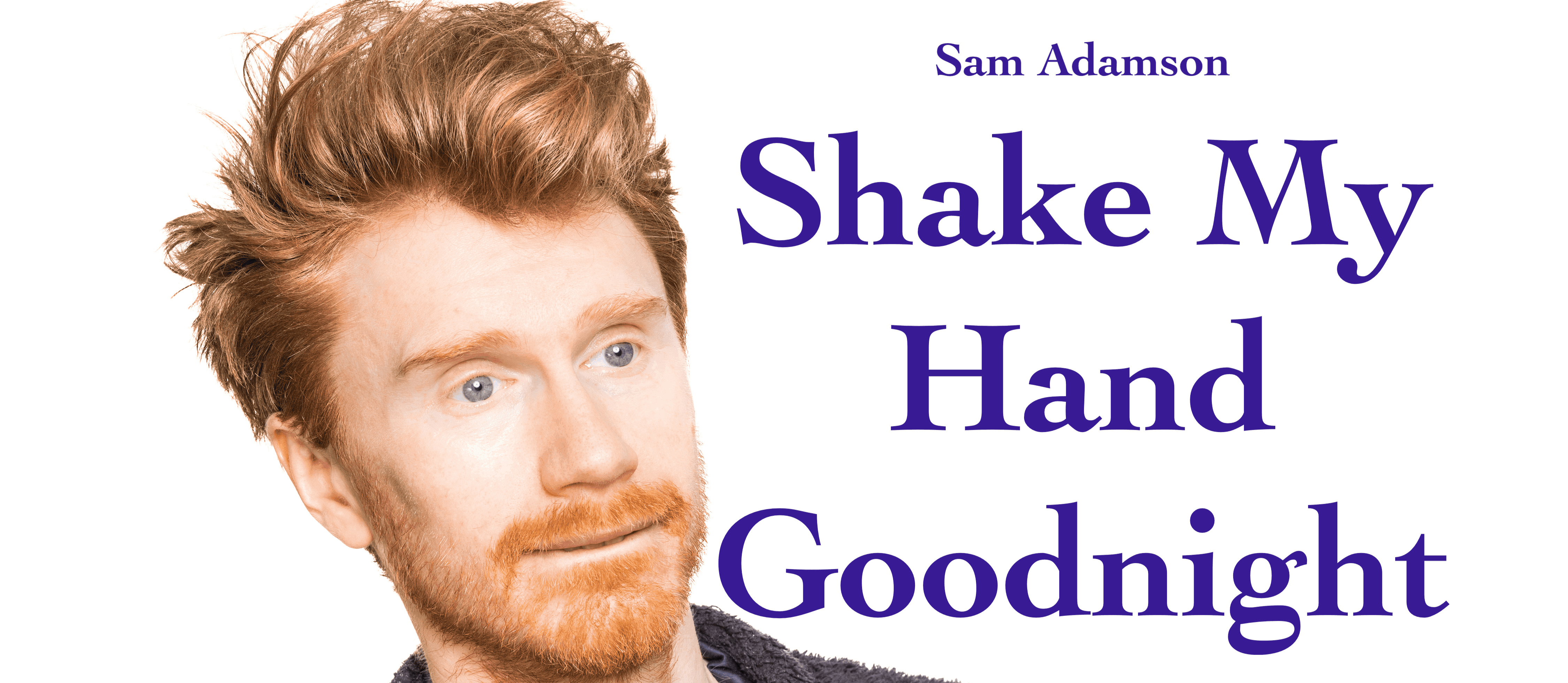 Shake My Hand Goodnight 